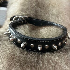 Black Thick Leather Spiked Dog Collar